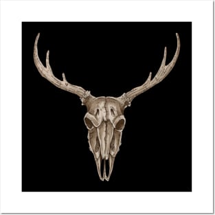 Deer skull 2 Posters and Art